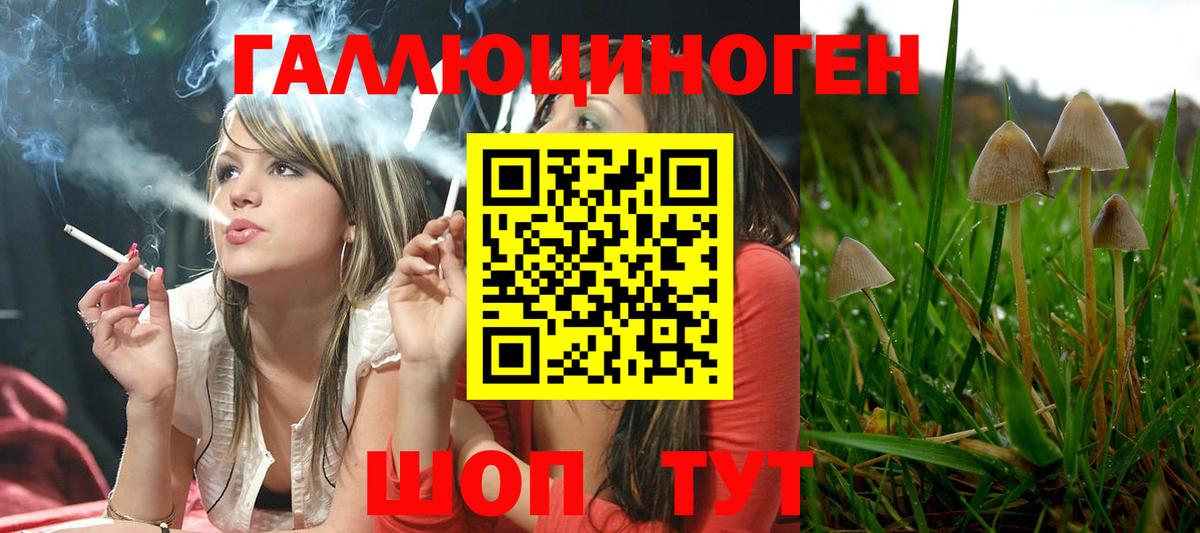 Псилоцибиновые грибы Psilocybe  Псилоцибиновые грибы MAGIC MUSHROOMS  Вход с VPN  Майский 